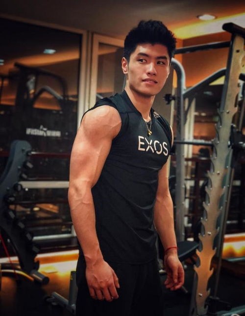 有哪些明星如何练出肌肉，明星们的肌肉