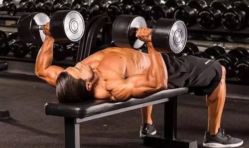 有哪些明星如何练出肌肉，明星们的肌肉