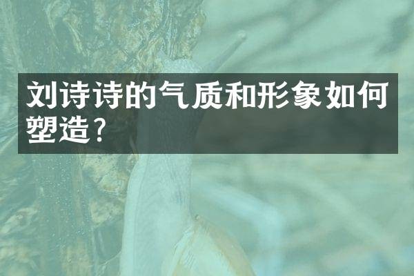 刘诗诗的气质和形象如何塑造？