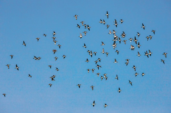 图片默认标题_fororder_微信图片_202601050939291