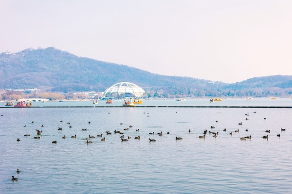 图片默认标题_fororder_微信图片_202601050939292