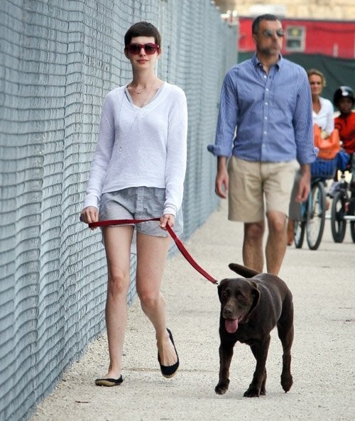 街拍那些溜狗的欧美明星造型盘点