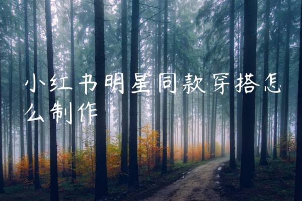 小红书明星同款穿搭怎么制作