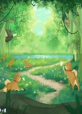 向往的生活 第八季