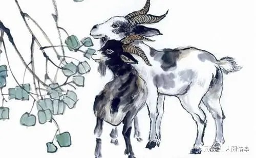 2026吉星高照,势如破竹,家有3生肖运势上上吉,财运比火旺