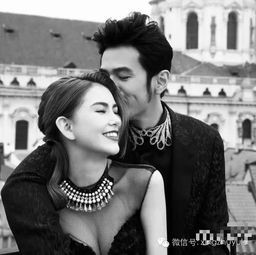 哪个星座能当明星夫妻呢