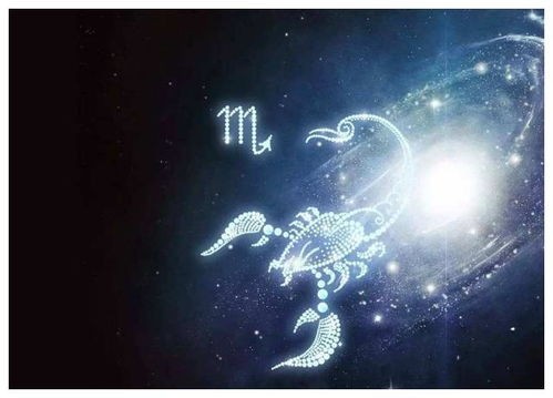 王能耐什么星座