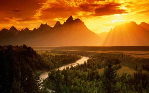 女明星八字命理解析分析