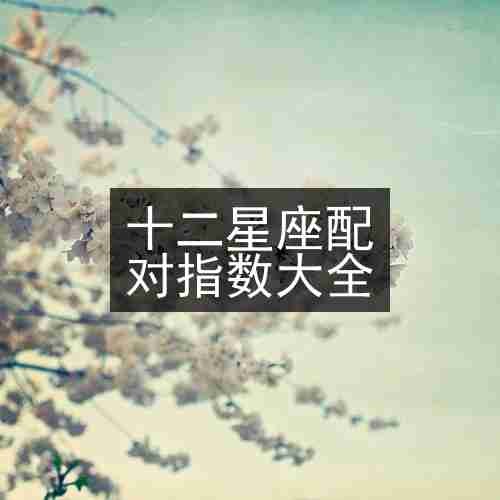 十二星座配对指数大全