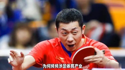 经营多家体育公司