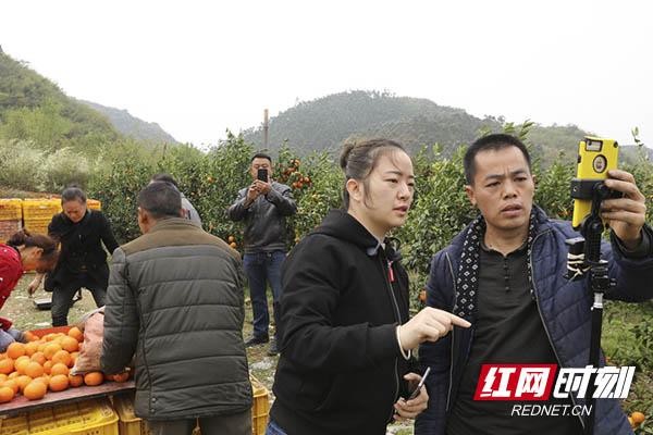 农户成“带货”主播“芒果扶贫云超市”直播江永沃柑飘香