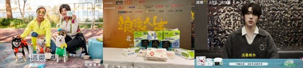 中顺洁柔2025:以“美好生活陪伴者”战略引领品牌价值建设 — 新京报