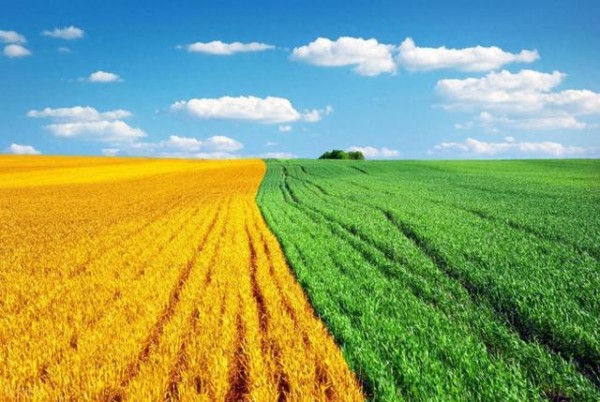 俞敏洪亲掌东方甄选帅印，自营产品成强引擎