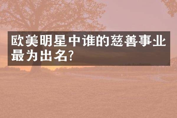 欧美明星中谁的慈善事业最为出名？