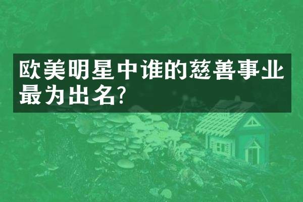 欧美明星中谁的慈善事业最为出名？