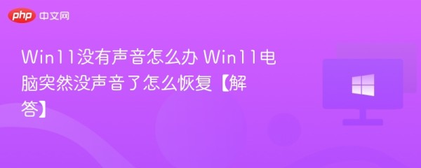 Win11没有声音怎么办 Win11电脑突然没声音了怎么恢复【解答】