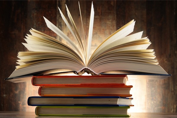 金鹰女神2018投票网站