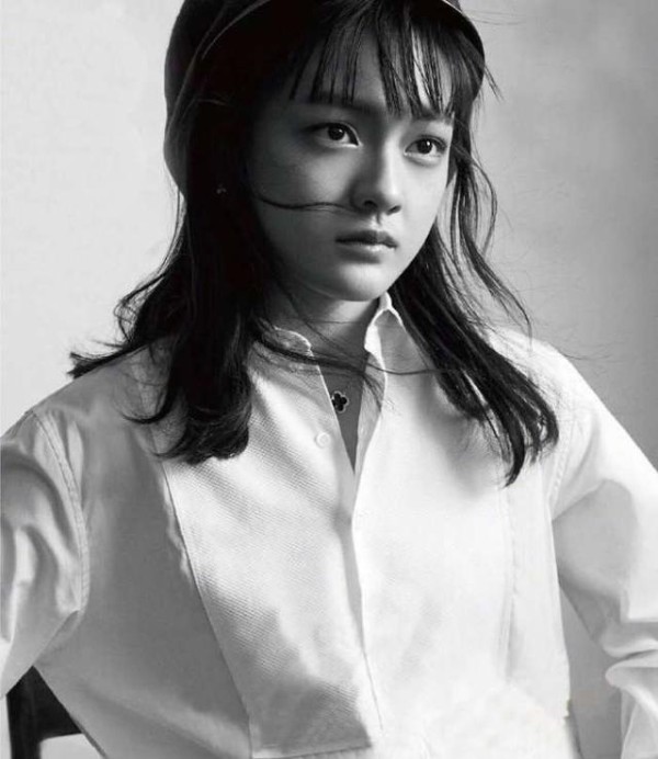 《新神雕侠侣》官宣由文琪饰演郭襄，佟梦实毛晓慧出演男女主角