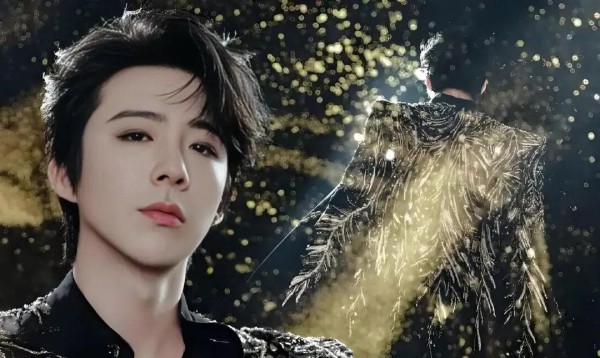 2025年最具实力的内娱男明星排名与成就解析