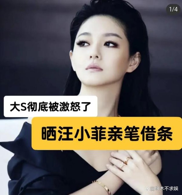 于正深度点评大S：真的好low，最后一招好恶毒！