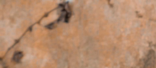 明星点评:杨紫、肖战、郑业成、向佐、张娜拉、王鹤棣(图1)