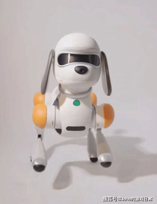 周杰伦联手宇树科技！「巨星狗」首秀：能陪看演唱会还能社交