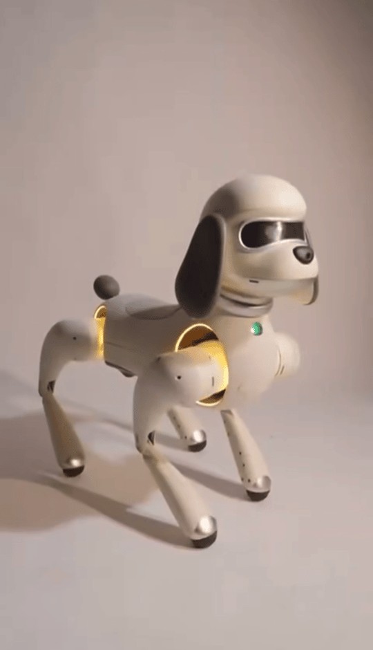 巨星传奇与宇树科技共同打造 “巨星狗”明日在上海旅游节首秀