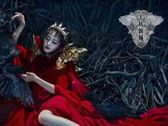 半妖倾城 安以轩