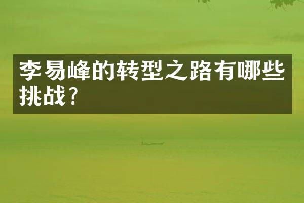李易峰的转型之路有哪些挑战?