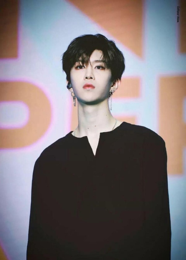 明星粉丝争论与cp粉文化影响