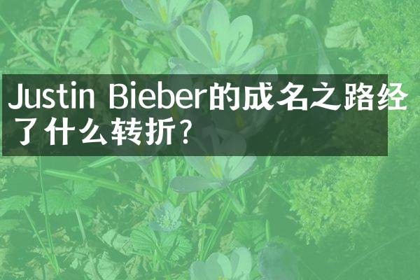 Justin Bieber的成名之路经历了什么转折?