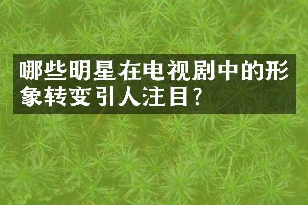 哪些明星在电视剧中的形象转变引人注目？
