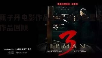 三、情感与动作的融合：《叶问》系列