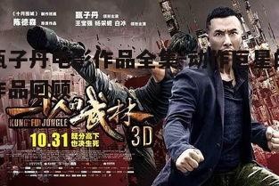 四、跨国合作：《一个人的武林》与《追击者》