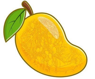 “海南鲜品”如何出圈？