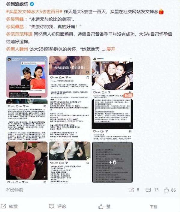 众星齐心悼念大S背后藏隐情，小S与明星友人聊天记录曝光引争议