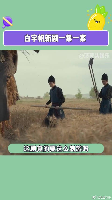 谁能告诉我真相啊！繁城之下 白宇帆新剧一集一案