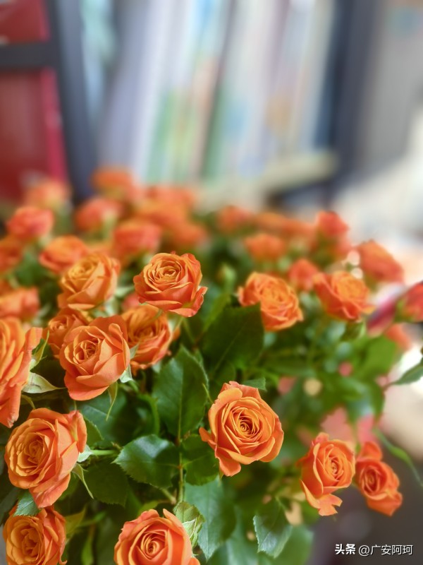 广安阿珂：现在的娱乐产业发展迅速，产出了一批又一批的娱乐明星。这条产业链上的从业者，特别是聚光灯下的明星们，几乎都收入不菲，很多群众也愿意花钱消费。从某种角度讲，说明我们发展到了一定的程度。社会稳定，经济繁荣，人民群众安居乐业。在此基础上，有了闲暇时间和经济能力去消费娱乐，看看电影，听听演唱会，追追星。如果是饭不饱衣不暖，或是革命战争年代，还有机会和闲心去搞这些吗。

当下娱乐明星的经济收入的确呈...