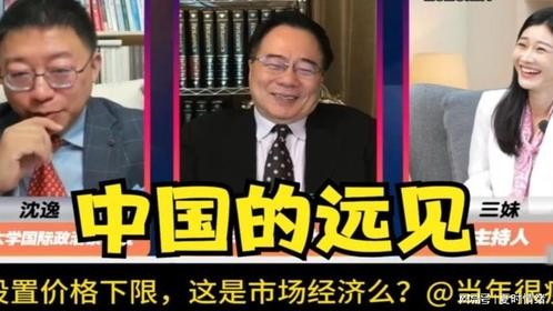 G7想要开会商讨设置稀土价格下限？来自沈逸教授和蔡博士的观察。
