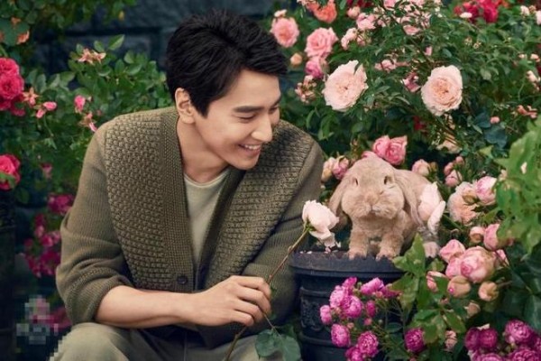 那些娱乐圈里影响力较大明星,却落到无戏可拍处境,真是一言难尽