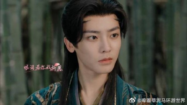 猫猫无语，主子你不能因为她是你老婆，她说啥你都说对吧