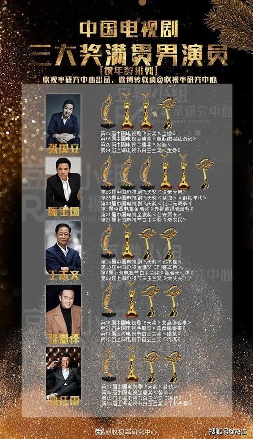 电视剧三大奖大满贯名单