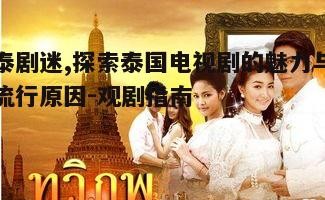 二、泰剧在中国的流行原因