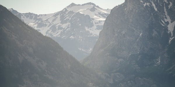 张智霖天涯圈内人爆料