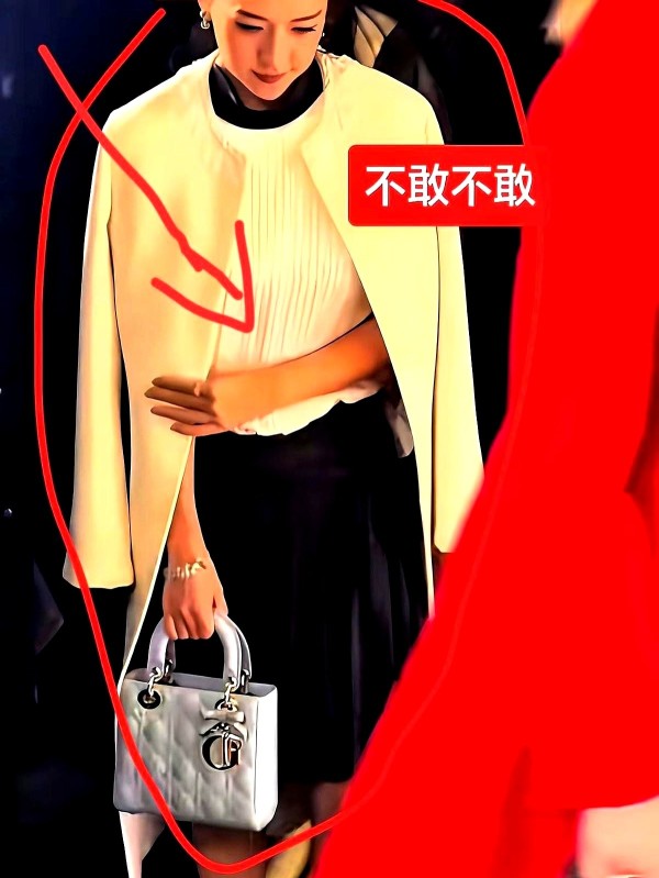 休闲的家具：章子怡在迪奥活动上的“弯腰让路”引发广泛讨论。

现场，她整个人低头侧身，动作明显带着谦卑，这反映出时尚圈的层级关系仍很敏感。

作为迪奥的长期合作伙伴，章子怡出席品牌大事件，本应风光，但德尔芬·阿尔诺作为品牌掌管人却让她不得不低头。

会场的站位、剪彩仪式上的姿态，都显示了品牌背后权力的分层和操作。

这个片段让人看到的，不仅仅是个人行为，更是一种职场和圈层的隐性规则。

网友们对比...