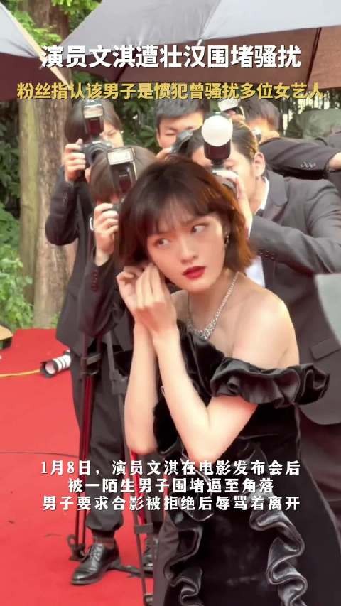 演员文淇遭壮汉围堵骚扰