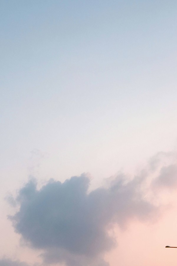 女明星转型背后的真相:舒淇助力,吴雪雯为何淡出娱乐圈?