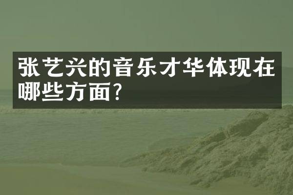 张艺兴的音乐才华体现在哪些方面？