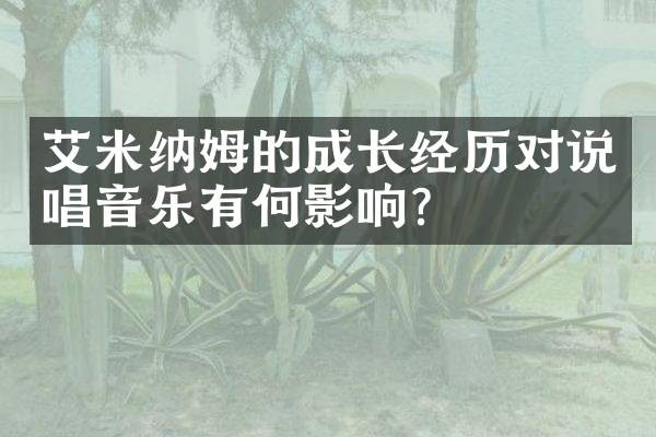 艾米纳姆的成长经历对说唱音乐有何影响？