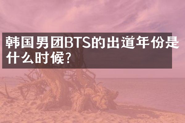 韩国男团BTS的出道年份是什么时候？